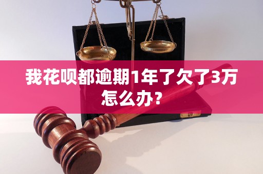 我花呗都逾期1年了欠了3万怎么办？