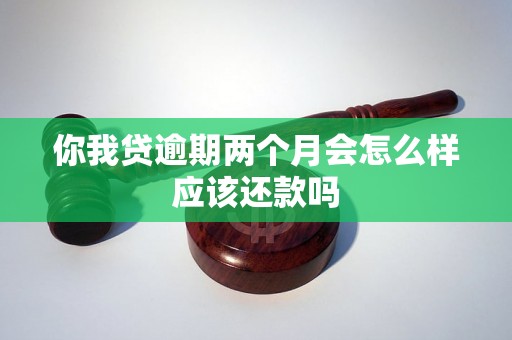 你我贷逾期两个月会怎么样应该还款吗