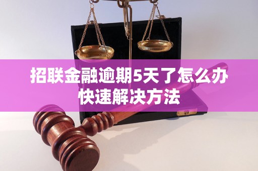 招联金融逾期5天了怎么办快速解决方法