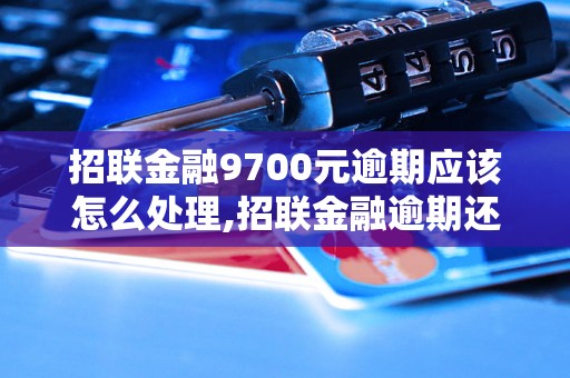 招联金融9700元逾期应该怎么处理,招联金融逾期还款后果及解决办法