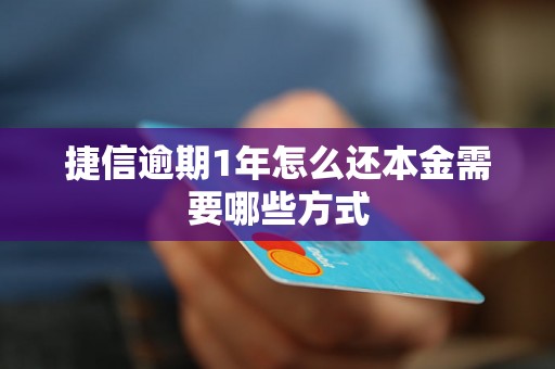 捷信逾期1年怎么还本金需要哪些方式