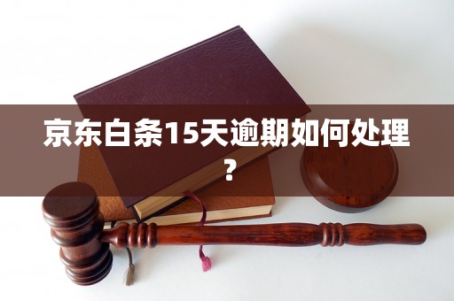 京东白条15天逾期如何处理？