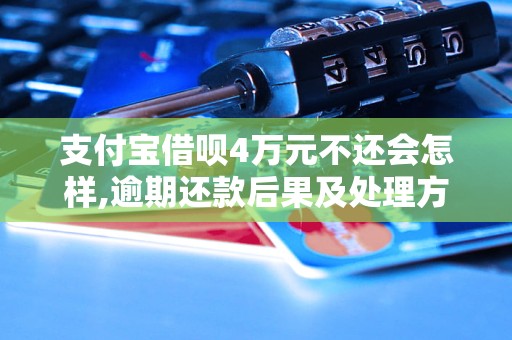 支付宝借呗4万元不还会怎样,逾期还款后果及处理方式