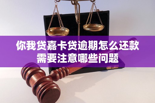 你我贷嘉卡贷逾期怎么还款需要注意哪些问题