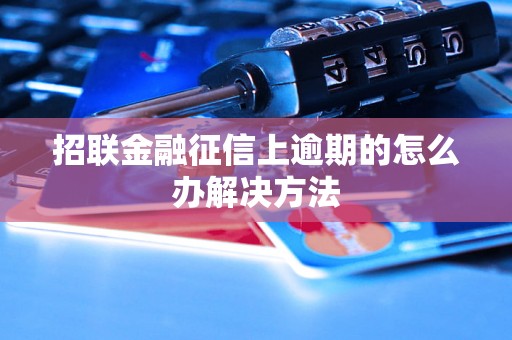 招联金融征信上逾期的怎么办解决方法