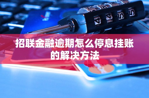 招联金融逾期怎么停息挂账的解决方法