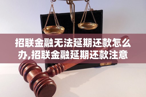 招联金融无法延期还款怎么办,招联金融延期还款注意事项