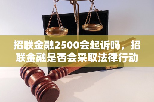 招联金融2500会起诉吗，招联金融是否会采取法律行动