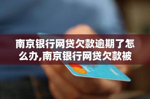 南京银行网贷欠款逾期了怎么办,南京银行网贷欠款被催收怎么处理