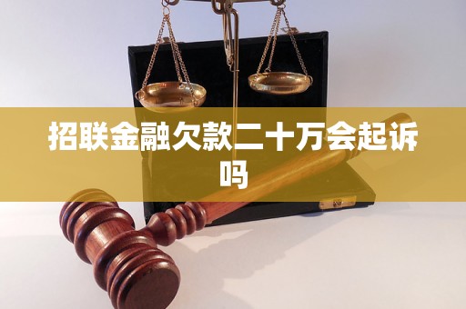 招联金融欠款二十万会起诉吗