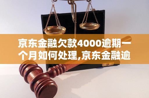 京东金融欠款4000逾期一个月如何处理,京东金融逾期一个月会有什么后果