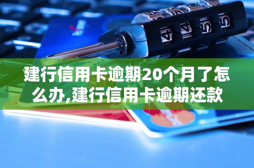 建行信用卡逾期20个月了怎么办,建行信用卡逾期还款流程