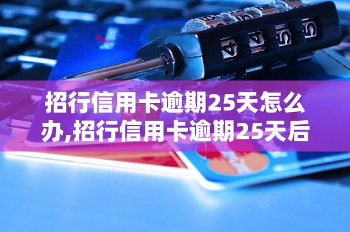 招行信用卡逾期25天怎么办,招行信用卡逾期25天后的处罚措施