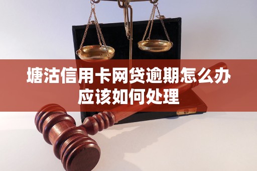 塘沽信用卡网贷逾期怎么办应该如何处理