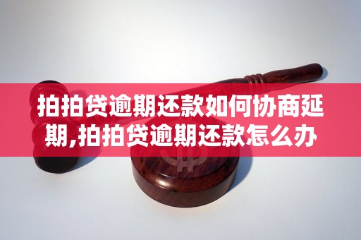 拍拍贷逾期还款如何协商延期,拍拍贷逾期还款怎么办理延期手续