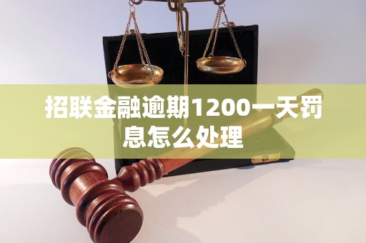 招联金融逾期1200一天罚息怎么处理