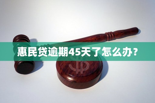 惠民贷逾期45天了怎么办？