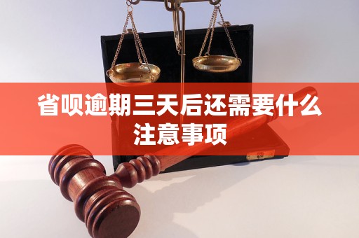 省呗逾期三天后还需要什么注意事项