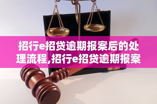 招行e招贷逾期报案后的处理流程,招行e招贷逾期报案流程详解