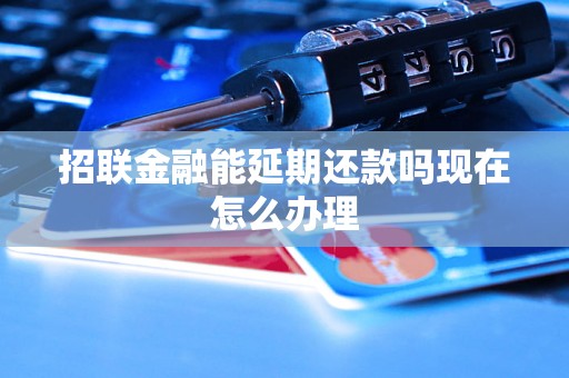 招联金融能延期还款吗现在怎么办理