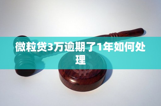 微粒贷3万逾期了1年如何处理