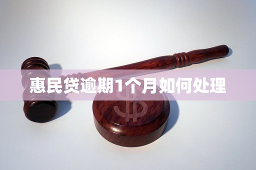 惠民贷逾期1个月如何处理