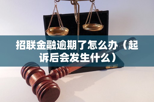 招联金融逾期了怎么办（起诉后会发生什么）