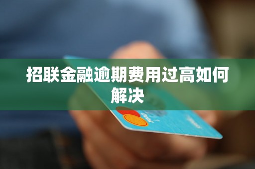 招联金融逾期费用过高如何解决