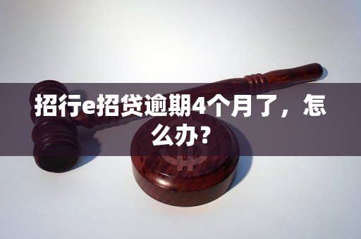 招行e招贷逾期4个月了，怎么办？