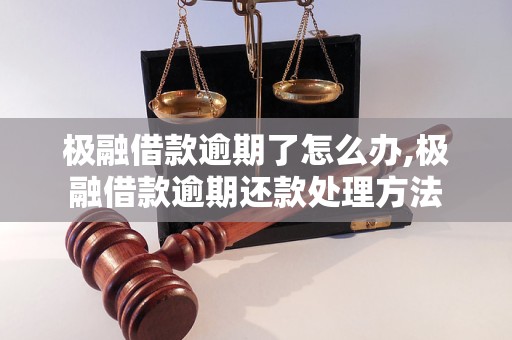 极融借款逾期了怎么办,极融借款逾期还款处理方法