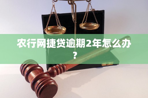 农行网捷贷逾期2年怎么办？