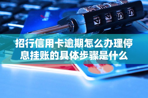 招行信用卡逾期怎么办理停息挂账的具体步骤是什么