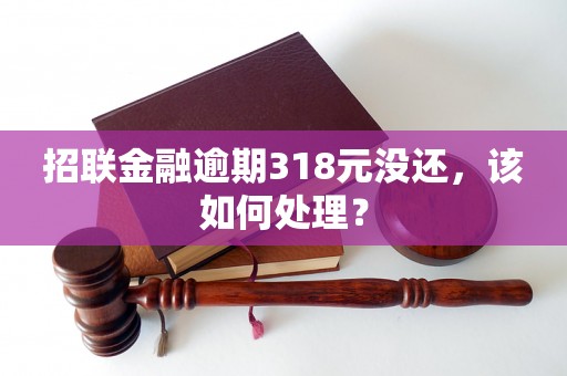 招联金融逾期318元没还，该如何处理？