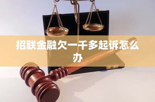 招联金融欠一千多起诉怎么办