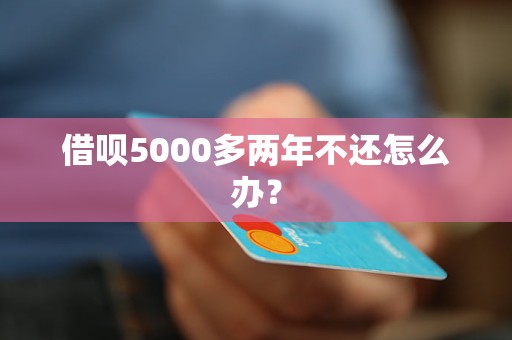 借呗5000多两年不还怎么办？