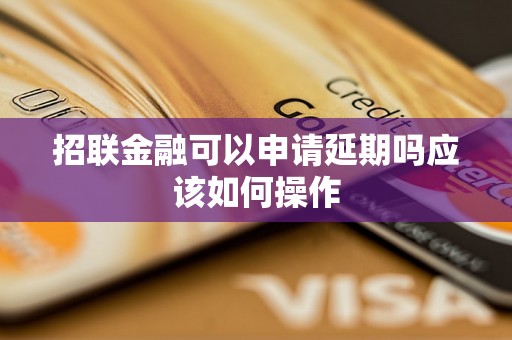 招联金融可以申请延期吗应该如何操作