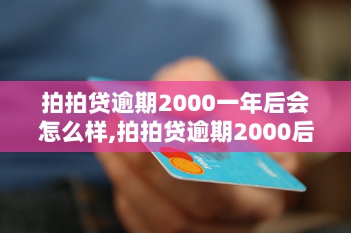 拍拍贷逾期2000一年后会怎么样,拍拍贷逾期2000后果严重吗