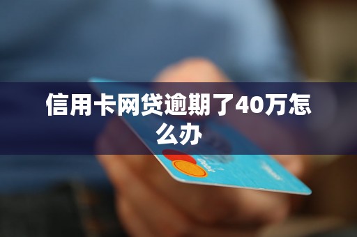 信用卡网贷逾期了40万怎么办