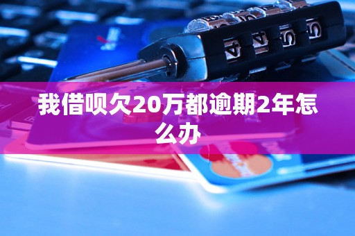 我借呗欠20万都逾期2年怎么办