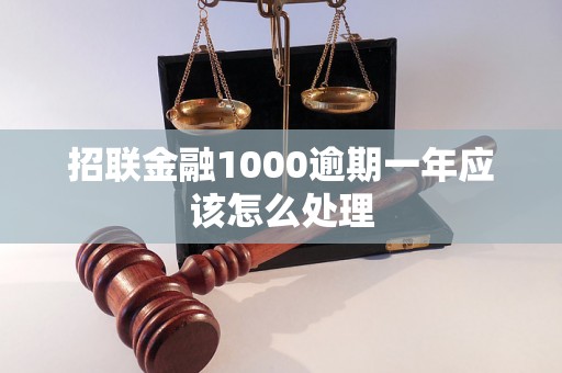 招联金融1000逾期一年应该怎么处理