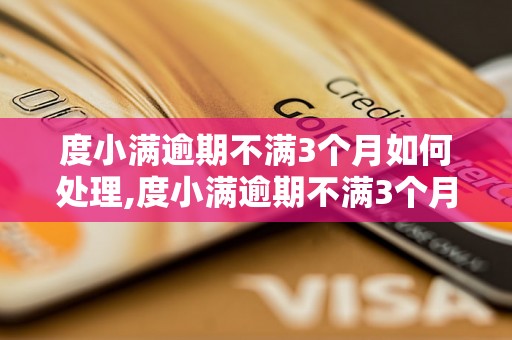 度小满逾期不满3个月如何处理,度小满逾期不满3个月的后果