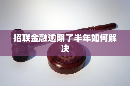 招联金融逾期了半年如何解决