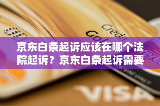 京东白条起诉应该在哪个法院起诉？京东白条起诉需要准备哪些材料？