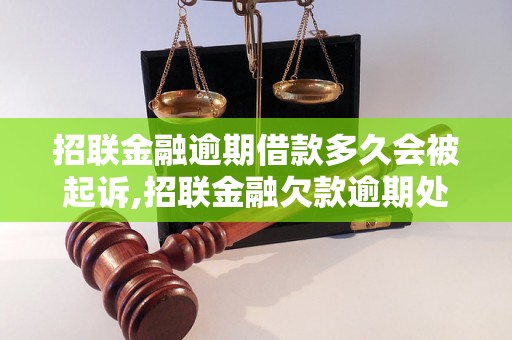 招联金融逾期借款多久会被起诉,招联金融欠款逾期处理流程详解