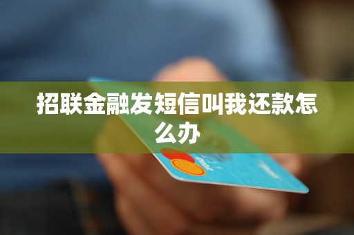 招联金融发短信叫我还款怎么办