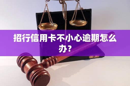 招行信用卡不小心逾期怎么办？