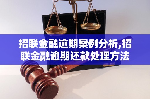 招联金融逾期案例分析,招联金融逾期还款处理方法