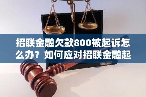 招联金融欠款800被起诉怎么办？如何应对招联金融起诉？