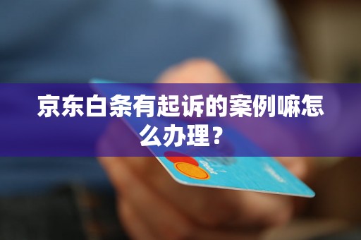 京东白条有起诉的案例嘛怎么办理？