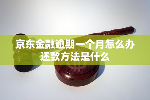 京东金融逾期一个月怎么办还款方法是什么